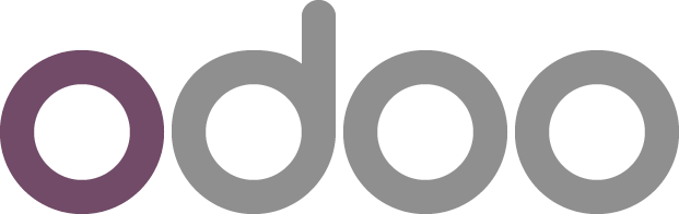 oracle netsuite solution provider